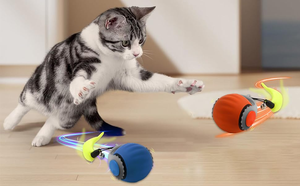 Nouvelle balle de jeu pour chat avec clochette, balle roulante en silicone élastique, jouet interactif intelligent pour animaux de compagnie, balle de sport pour chat - Product Image 3