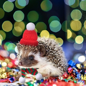 Mini chapeau <span class=keywords><strong>de</strong></span> père noël <span class=keywords><strong>de</strong></span> noël mini écharpe <span class=keywords><strong>de</strong></span> noël et mini chapeaux et écharpes <span class=keywords><strong>de</strong></span> noël rouges pour les détenteurs d'argenterie <span class=keywords><strong>de</strong></span> noël - Product Image 5