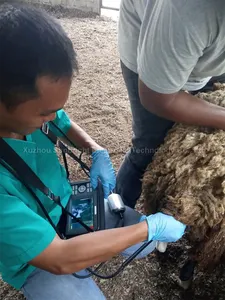 Piccoli animali portatili portatili test di gravidanza clinica per allevamento di maiali a buon mercato uso sonda rettale ad ultrasuoni
