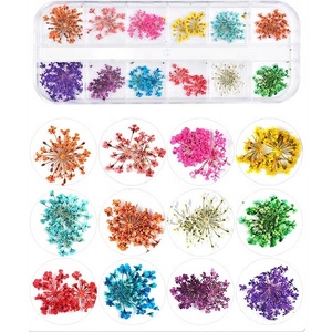 Decoración de <span class=keywords><strong>Uñas</strong></span> 3D de 12 Colores, <span class=keywords><strong>Flores</strong></span> <span class=keywords><strong>Secas</strong></span> Reales <span class=keywords><strong>para</strong></span> Gel UV y Puntas Acrílicas - Product Image 3