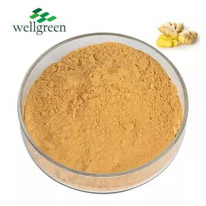 Wellgreen-Polvo de extracto de jengibre de grado alimenticio, 10% Gingerol, CAS 23513-14-6, mejor precio