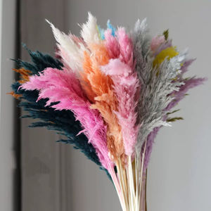 Petit roseau séché décoratif fleur pampa herbe séchée fleur <span class=keywords><strong>mariage</strong></span> décoration accessoires préservé <span class=keywords><strong>bouquet</strong></span> de fleurs VP-YNYB001 - Product Image 2