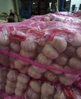 Ail chinois frais à prix préférentiel d'exportation en gros et de haute qualité