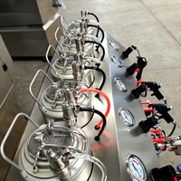 Machine de placage hydrochromique en plastique 10L - Système de revêtement par pulvérisation au nitrate d'argent pour effet miroir, facile à utiliser pour la réparation automobile