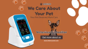 Prezzo all'ingrosso di fabbricazione Colombia monitor veterinario multiparametro bacca monitor veterinario sistema PET clinica ospedale veter - Product Image 2