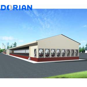 อาคารฟาร์มสัตว์ปีกสำหรับไก่5000โครงสร้างเหล็กสำเร็จรูปขนาดเล็กดีไซน์ใหม่ - Product Image 4