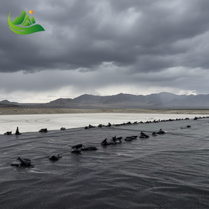 Geomembranas para fosas sépticas, trampas de grasa y digestores de biogás - Product Image 4