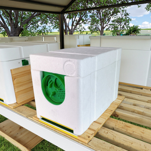 Ventes chaudes Boîte de reproduction de <span class=keywords><strong>reine</strong></span> d'<span class=keywords><strong>abeille</strong></span> à une couche Mini ruche de reproduction pour une apiculture efficace - Product Image 2