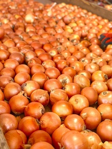 Cebolas Novas Colheita Da China Melhor Preço Vermelho Cebola Amarela Fábrica Exportação Direta Cebola Seca 50lb Bag - Product Image 2