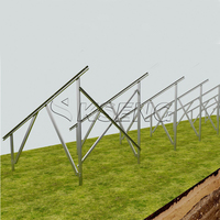 Système de support solaire au sol en acier au carbone, structure de montage photovoltaïque pour le support des panneaux solaires
