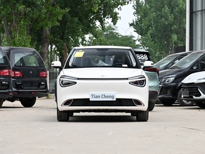 <span class=keywords><strong>Voiture</strong></span> électrique d'<span class=keywords><strong>occasion</strong></span> Dongfeng NANO 01 2024 à prix abordable, mini-<span class=keywords><strong>voiture</strong></span> électrique d'<span class=keywords><strong>occasion</strong></span> avec volant à gauche, Dongfeng Nammi Box 01, <span class=keywords><strong>voiture</strong></span> électrique économique - Product Image 2