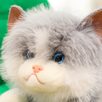 Peluche chat Ragdoll couché, rembourrée de granulés, avec son, animal en peluche en forme de poupée, compagnon de bureau doux, peluches pour bébé