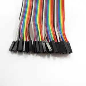 40x2.54mm Dupont CABLE 20 ซม.1P-1P หญิง-หญิงชาย-หญิงสายสายจัมเปอร์ขา