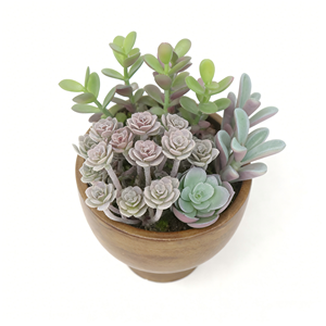 Planta Suculenta Artificial Decorativa con Hojas Multicapa en Degradado, que Agrega una Textura Voluminosa para Realzar la Decoración Cálida - Product Image 3