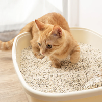 Pasir Kucing Ramah Lingkungan dari Tahu & Singkong, Formula Cepat Menggumpal, Bebas Debu