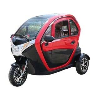 Triciclo Eléctrico Cerrado de 3 Plazas, 1000W, Vehículo de Movilidad para Adultos - Product Image 5