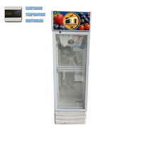 Réfrigérateur Commercial Vertical pour Bière 300L, Économe en Énergie, Porte Vitrée, Sans Givre, Température Numérique