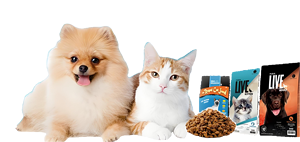 Tự động multihead định lượng trộn Snack Nuts máy đóng gói điền 5kg đường muối giấy đông lạnh pháp Fry máy đóng gói - Product Image 4