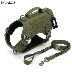 Set di Collari e Guinzagli per Cani da Servizio Personalizzati OEM, in Nylon Resistente, con Logo Personalizzato - Product Image 3