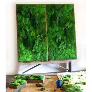 Onderhoudsarme Gestabiliseerde Groene Mosmuuroplossingen-Voor Altijd Bewaard Mospaneel Voor Interieurontwerp - Product Image 6