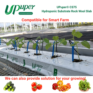 UPuper CS75 40x8x3 Plaques de culture hydroponique en laine de roche pour Pepino/Poivre/Tomate/Légumes à feuilles/Chanvre/Concombre - Product Image 1