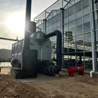 Chaudière à vapeur à biomasse DZH 0,7/1,0/1,25 MPa, 1 à 10 T/H, à allumage manuel, pour la fabrication de vêtements et la transformation alimentaire