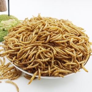 Bioforte OEM Gusanos de harina amarillos orgánicos secos, altos en proteínas, sin olor, esterilizados por microondas, sin cereales, alimento para pollos, patos, aves y mascotas - Product Image 3