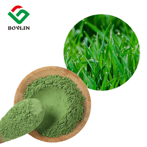 Biologisch tarwegraspoeder superfood, chlorofylrijk, hoogwaardig poeder in trommel- en flesverpakkingen - Product Image 3