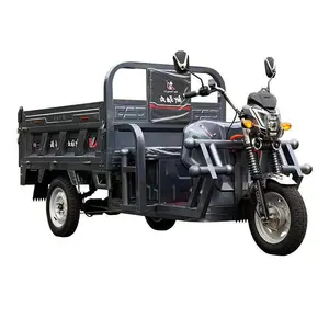 Long Range Of 3-Wheel Multi-Use Mobility Electric Tricycle Cargo Delivery At Factory Wholesale Price