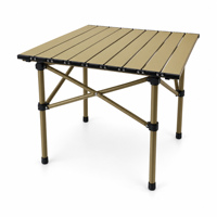 Table de pique-nique pliante en acier portable pour cour et parc