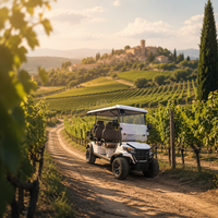 La voiturette de golf électrique 6 places la plus abordable, dotée de sièges pliables, idéale pour une large gamme d'utilisations