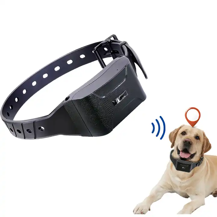 Collar GPS para mascotas IP 6 – Mis Mascotas