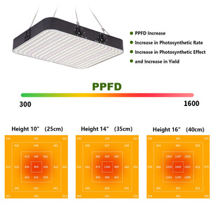 Luz LED para el Crecimiento de Plantas, Invernadero Interior, Aluminio LM281B, Alta Eficiencia 130 Lm/W, IP42, Espectro Completo, Multietapa - Product Image 4
