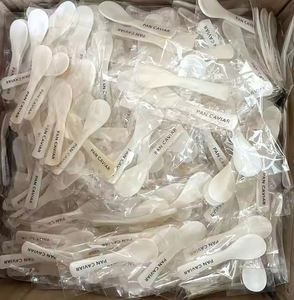 Cucharas de Concha Natural Personalizadas para Helado, Café, Caviar, Madreperla, Cucharas para Remover, Cucharillas, Artesanías, Utensilios de Cocina - Product Image 6