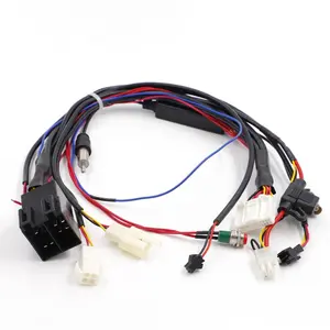 Electric Vehicle Harness Wire Automotive Wire Harness Cable Loom Kit Complete Wiring Harness