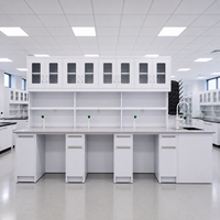 Mesa de Experimentos de Física, Química y Biología, Muebles de Laboratorio con Fregadero y Estante para Reactivos para Escuelas y Universidades
