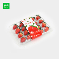 Boîte à fruits en plastique PET transparente Plateau d'emballage de baies de fraises pour supermarché de ferme