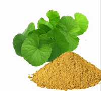 Extrait sec de Bacopa 20% 50% HPLC USP en poudre, extrait naturel botanique à base de plantes, culture sauvage, qualité alimentaire, complément alimentaire