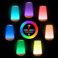 Lámpara de Noche LED Moderna con Control Remoto, Regulable, Recargable por USB, Multicolor, para Dormitorio o Cuarto de Niños