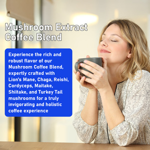Café aux champignons en gros d'usine, exclusif, enrichi en calories, pour une énergie accrue, favorise la santé du cerveau et soutient l'immunité, en poudre - Product Image 5