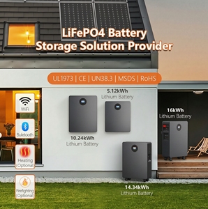 แบตเตอรี่เก็บพลังงานสำหรับบ้านประสิทธิภาพการชาร์จ-ดิสชาร์จสูง 51.2V 50AH 100AH 200AH 400AH แบบติดผนัง CAN HP1500K BMS LiFePO4 - Product Image 6