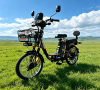 Vélo électrique deux places en acier au carbone, 12 vitesses, batterie au plomb-acide, freins à disque, moteur sans balais pour les trajets urbains