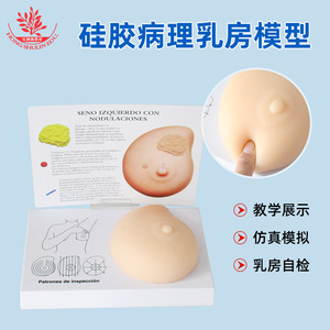 Female breast examination model, medical teaching <b>tool</b>, gynecological human <b>silicone</b> pathology diagnostic demonstration breast - Product Image 5