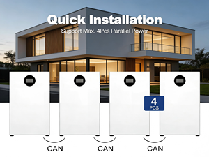 16kWh LiFePO4 Lithium Battery Solar Home Energy Storage Hybrid Grid - Product Image 4