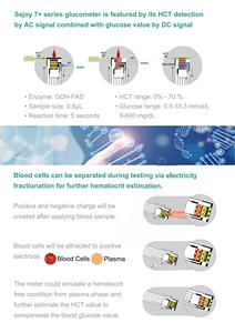 Strisce Reattive per <span class=keywords><strong>Test</strong></span> della Glicemia Senza Codifica Sejoy, Strisce Accurate per Diabetici - Product Image 5