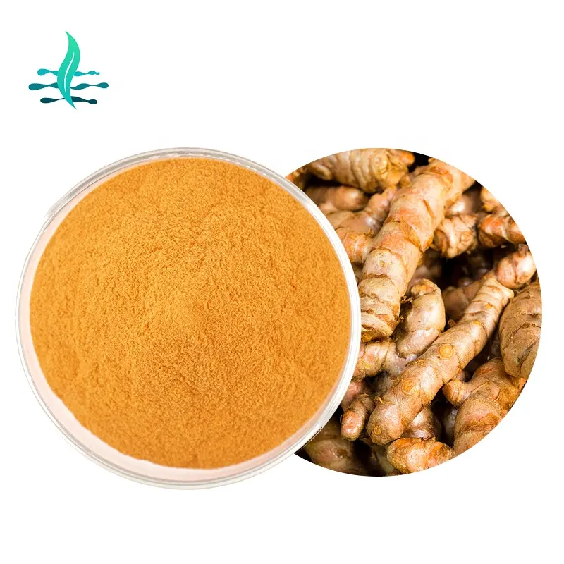 자연 심황 추출물 95% curcumin