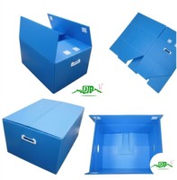 Boîte de transport pliable en carton ondulé en plastique PP personnalisé, pour fruits, recyclable, usage domestique, empilable, étanche, certifiée SGS