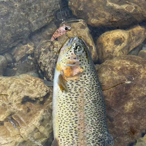 LUTAC Leurre de pêche à la truite en plastique dur amélioré 3.2G/38mm <span class=keywords><strong>Swimbait</strong></span> Wobbler OEM ABS VIB Factory - Product Image 6