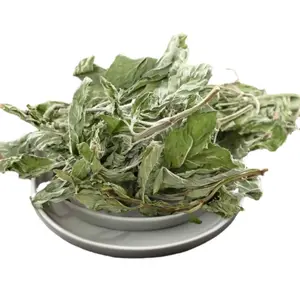 Grosir teh daun Mint kering kantung teh Peppermint kering teh Mint daun hijau herbal kering