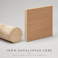 Contreplaqué mélaminé de première qualité, écologique, en eucalyptus, 12 mm, 1220x2440, grade E0, pour meubles de cuisine